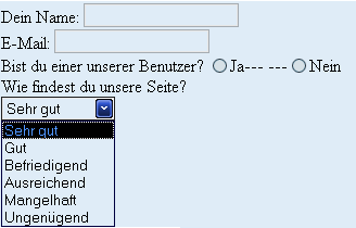 Formular in der Ansicht