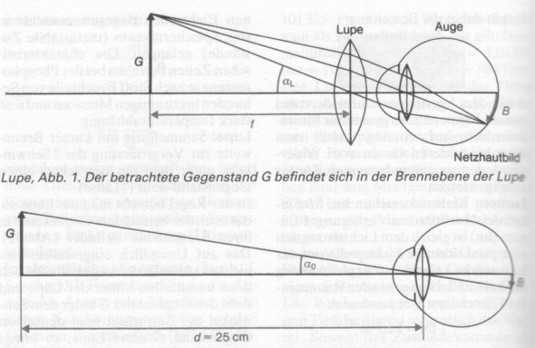 Unterschied zwischen Auge mit und ohne Linse