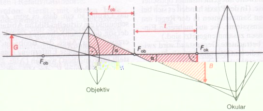 Vergrößerung per Mikroskop