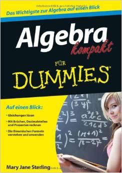 Algebra kompakt für Dummies