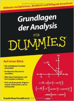 Grundlagen der Analysis für Dummies