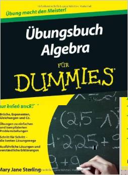 Übungsbuch Algebra für Dummies